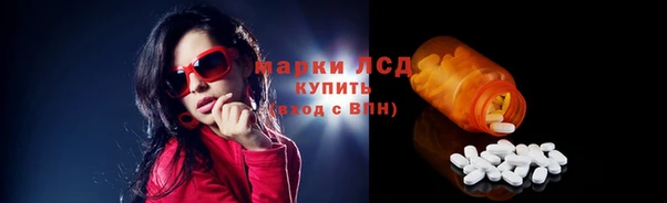 крисы Магадан