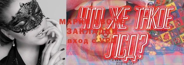 каннабис Майский