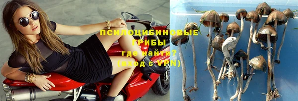 крисы Магадан