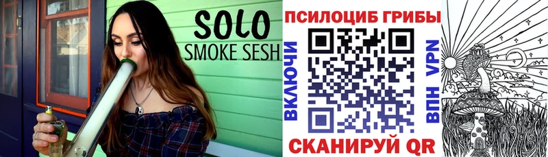 дарк нет наркотические препараты  Куйбышев  Псилоцибиновые грибы мицелий 