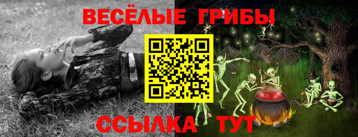Псилоцибиновые грибы Psilocybe  Вход с VPN  Куйбышев 