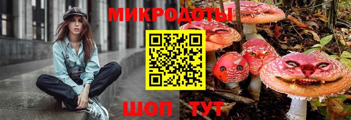 Псилоцибиновые грибы мухоморы Куйбышев