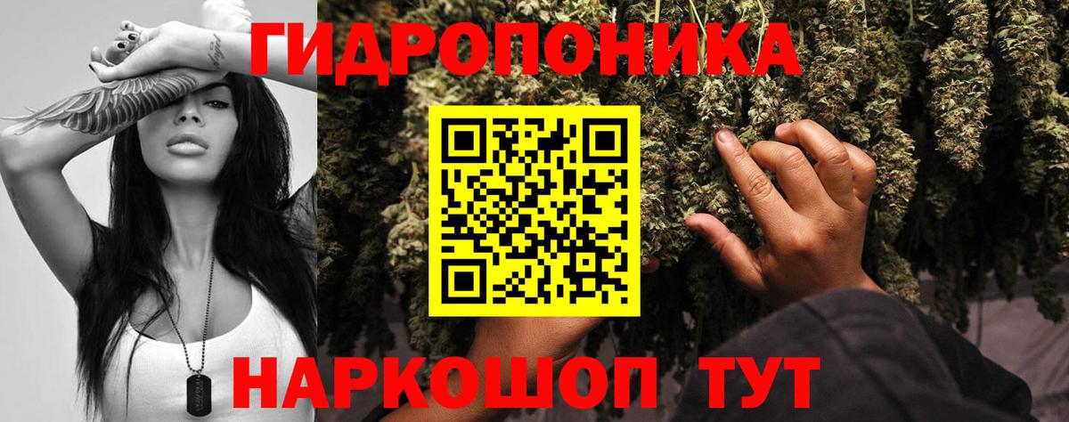 Шишки марихуана Bruce Banner Куйбышев